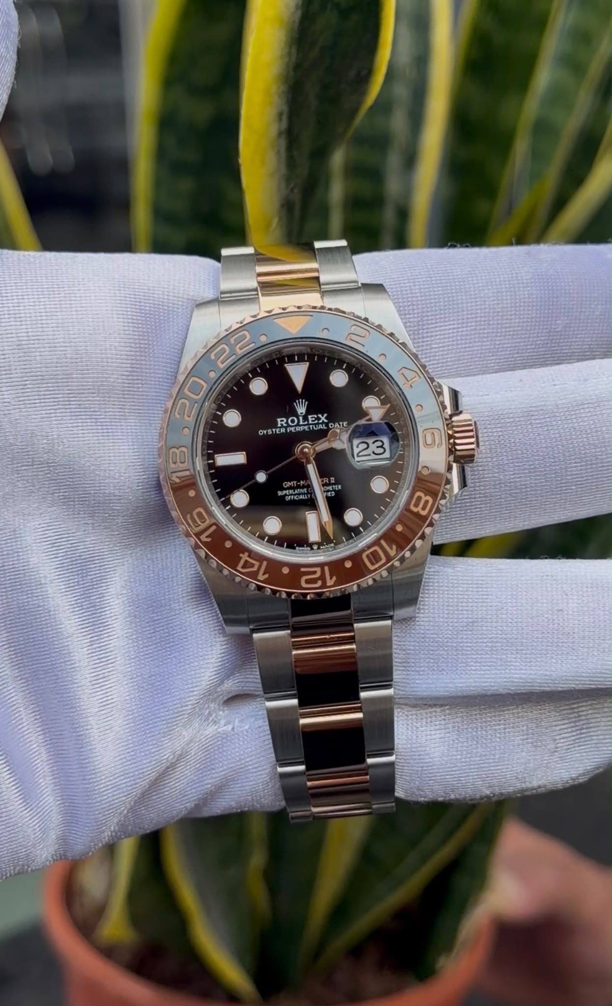 GMT-Master II - View 1